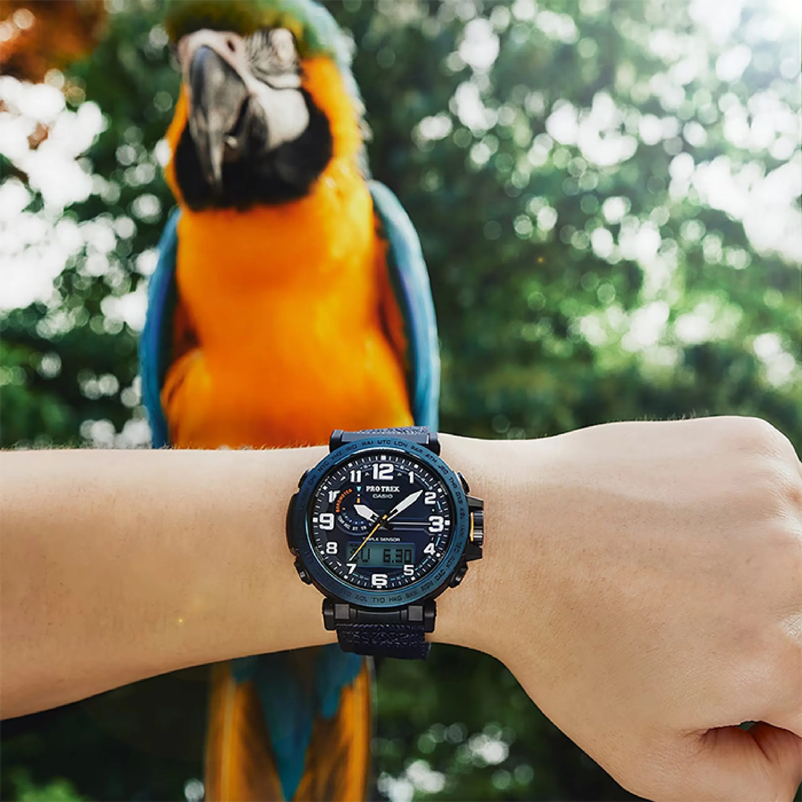 CASIO PRO TREK PRG-601YB-2, наручные часы — дополнительное фото 4