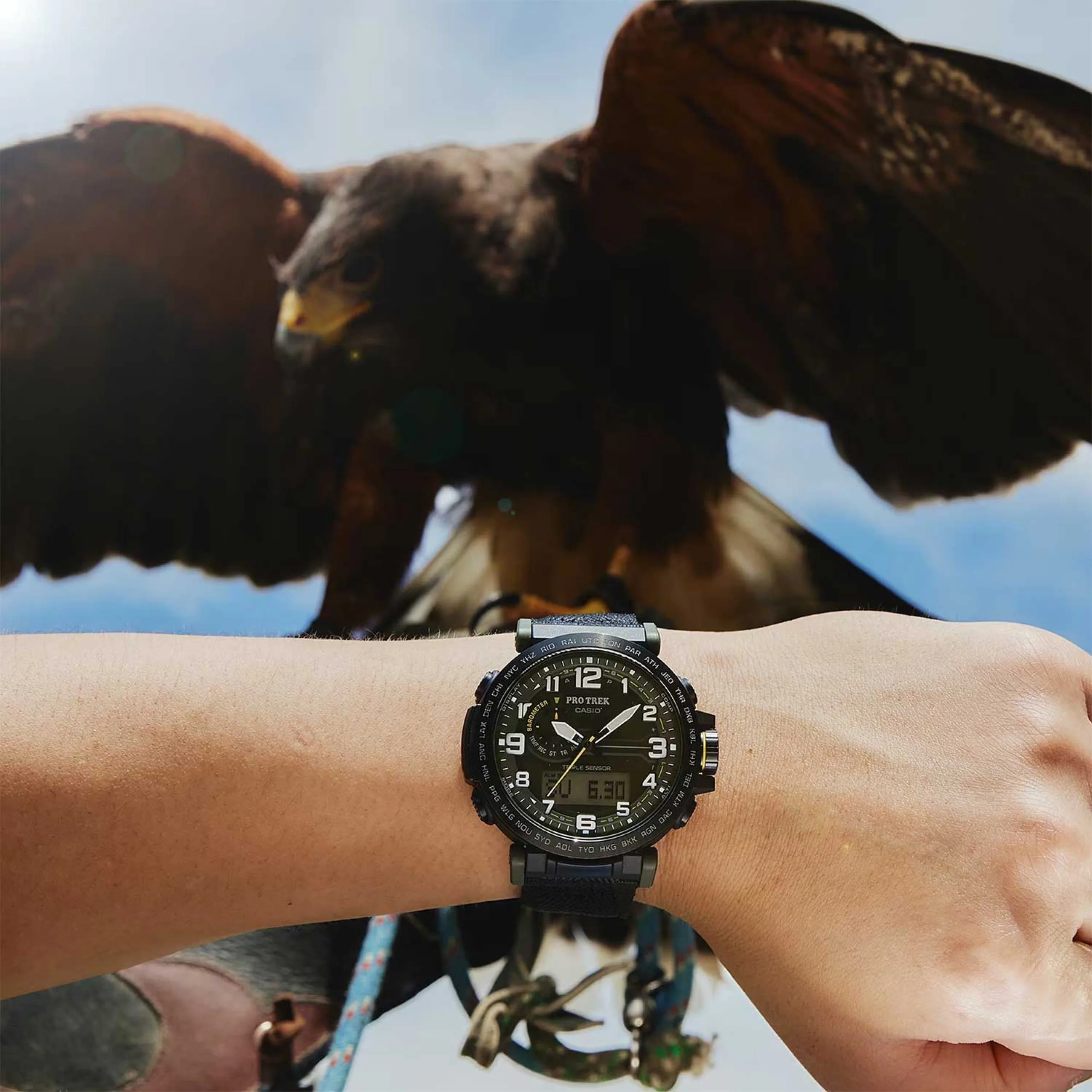 CASIO PRO TREK PRG-601YB-3, наручные часы — дополнительное фото 4